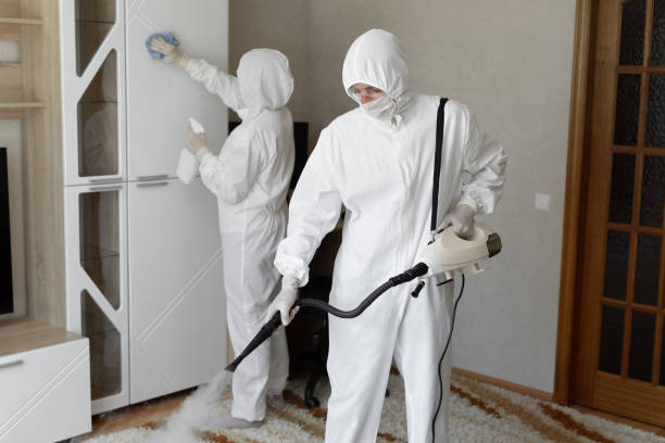 24/7 Emergency Biohazard Cleanup experts in Ashford, WA